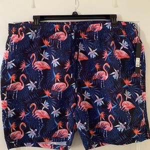 Fashion Nova Men’s Swim Trunks